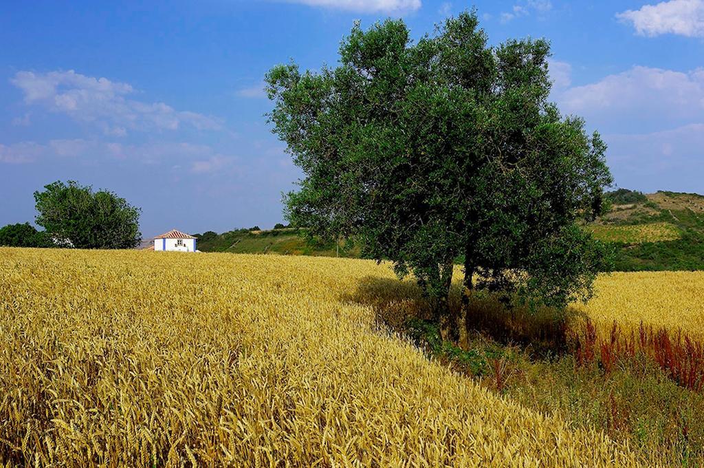 Aldeia Da Mata Pequena Hotel Mafra Bagian luar foto