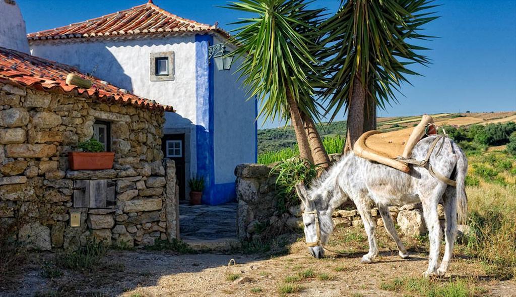 Aldeia Da Mata Pequena Hotel Mafra Ruang foto